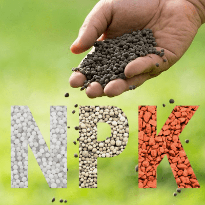 انتخاب کود NPK گرانوله مناسب برای گیاهان