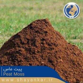 پیت ماس Peat Moss