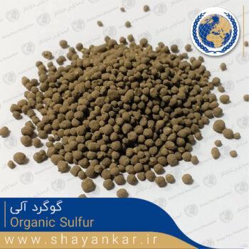 گوگرد آلی Organic Sulfur