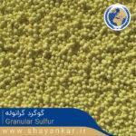 گوگرد گرانوله Granular Sulfur