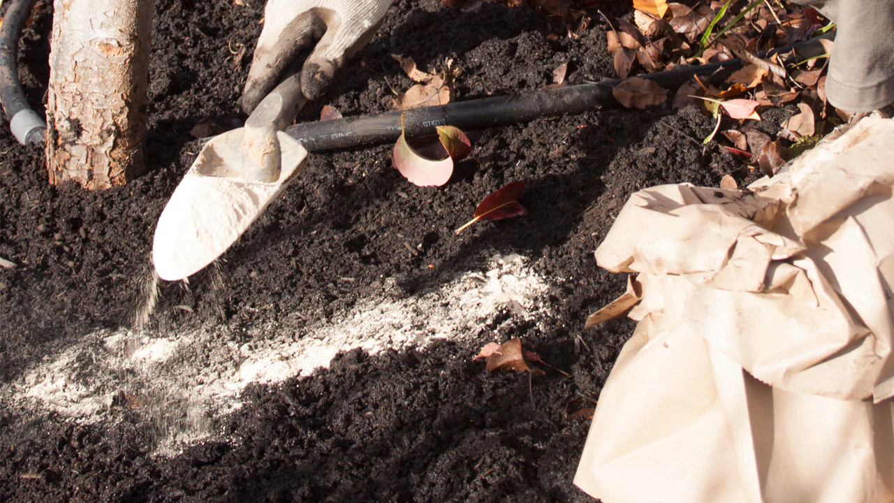 انقلاب در مزرعه: کاربردهای استفاده از خاک فسفات