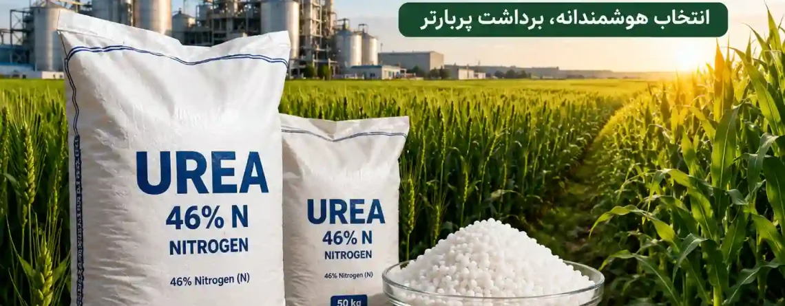 راهنمای جامع خرید بهترین کود اوره برای کشاورزی مدرن و پایدار