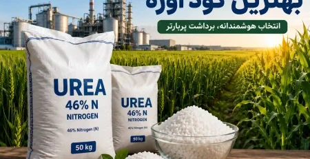 راهنمای جامع خرید بهترین کود اوره برای کشاورزی مدرن و پایدار