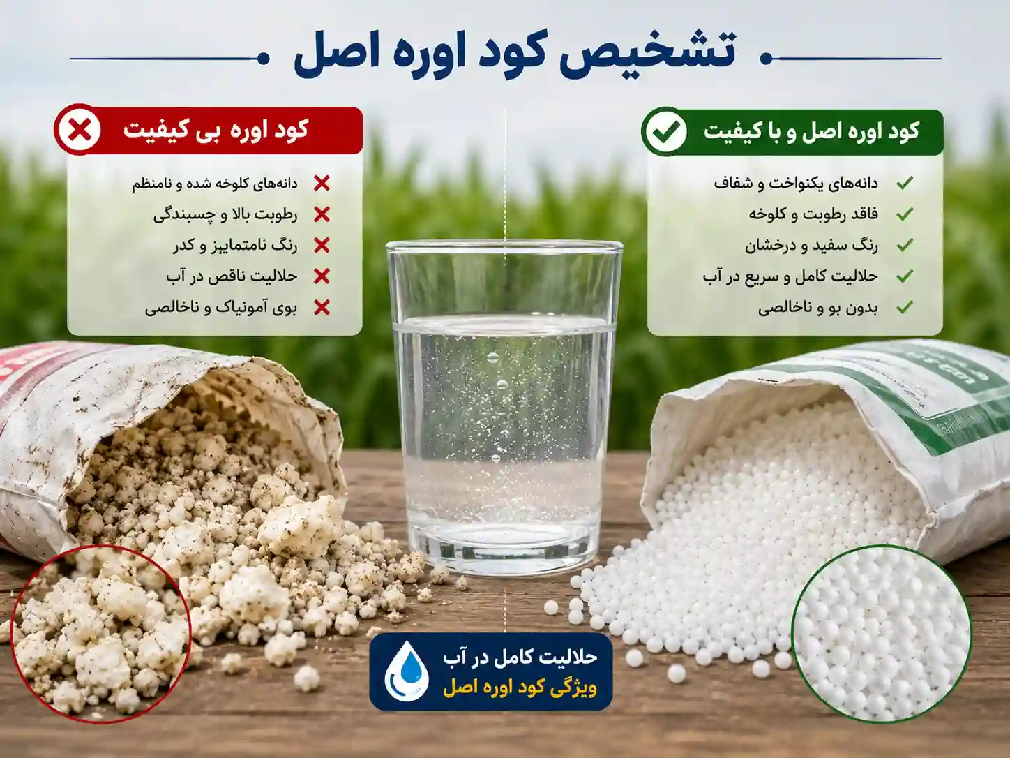 نشانه های تشخیص بهترین کود اوره: چطور کود بی کیفیت را شناسایی کنیم؟
