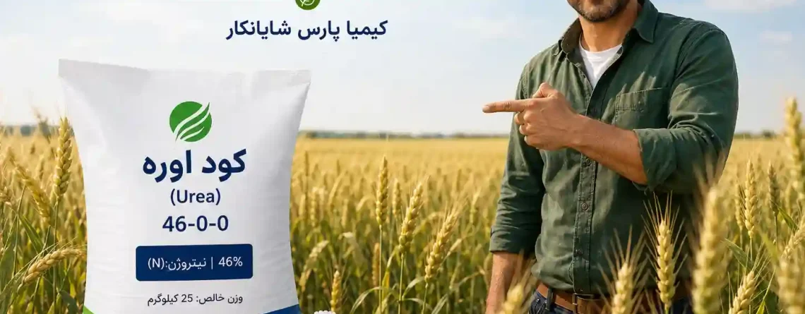 کود اوره برای گندم؛ راهنمای کامل زمان مصرف، مقدار مصرف، سرک اوره و خرید کود سفید گندم