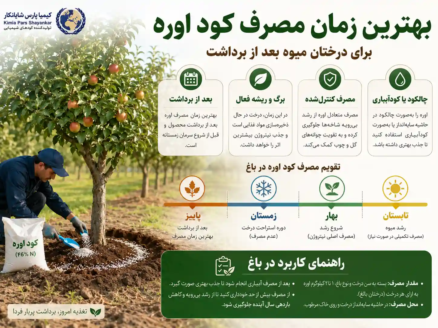 بهترین زمان مصرف کود اوره برای درختان میوه بعد از برداشت چه زمانی است؟