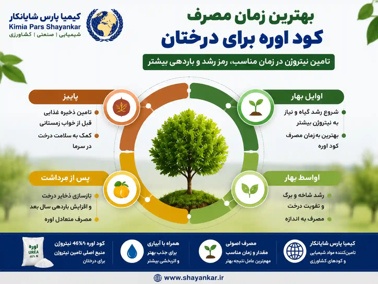 بهترین زمان مصرف کود اوره برای درختان چه زمانی است؟