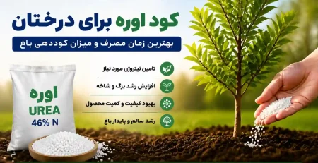 کود اوره برای درختان | بهترین زمان مصرف و میزان کوددهی باغ