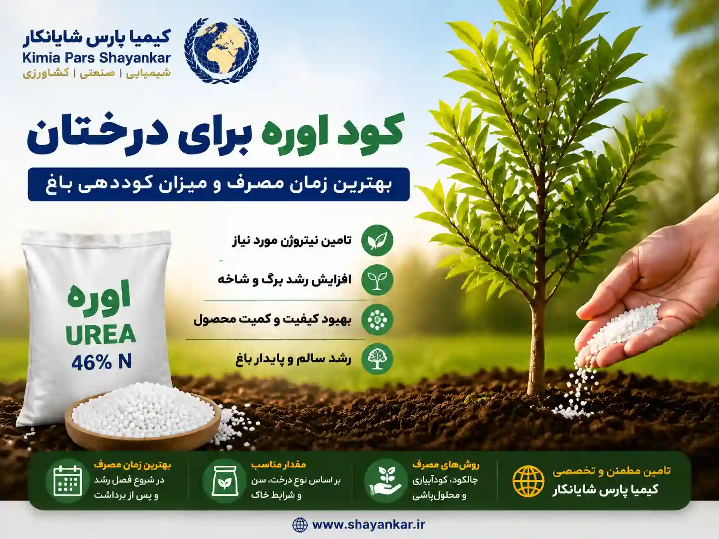 کود اوره برای درختان | بهترین زمان مصرف و میزان کوددهی باغ