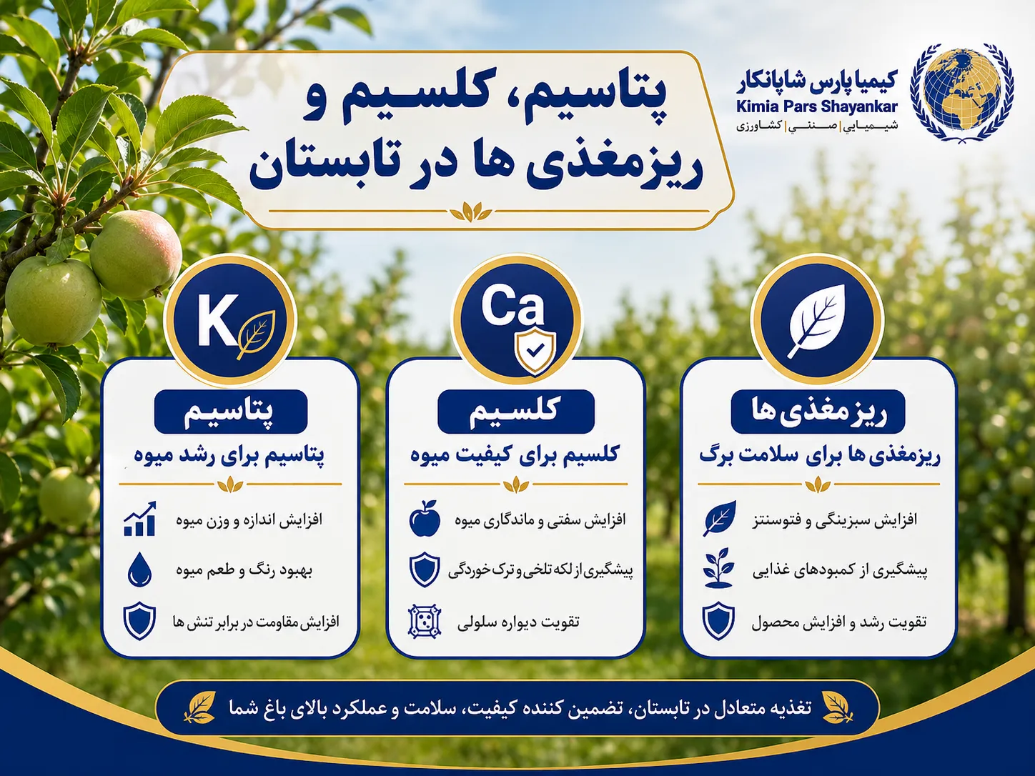 بهترین کود برای درختان میوه در تابستان چیست؟