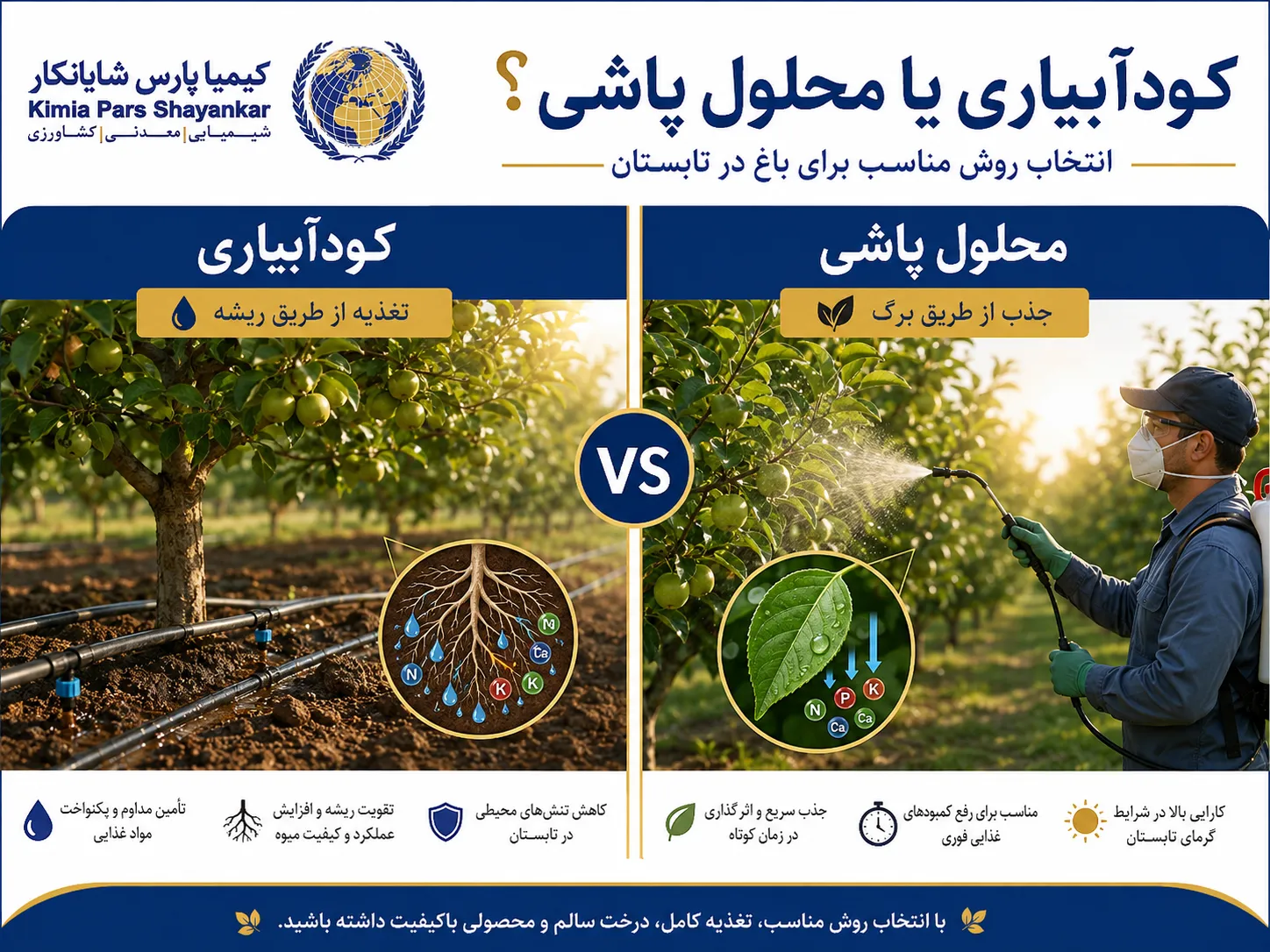 روش مصرف کود برای درختان میوه در تابستان؛ فرتیگیشن یا محلول پاشی؟