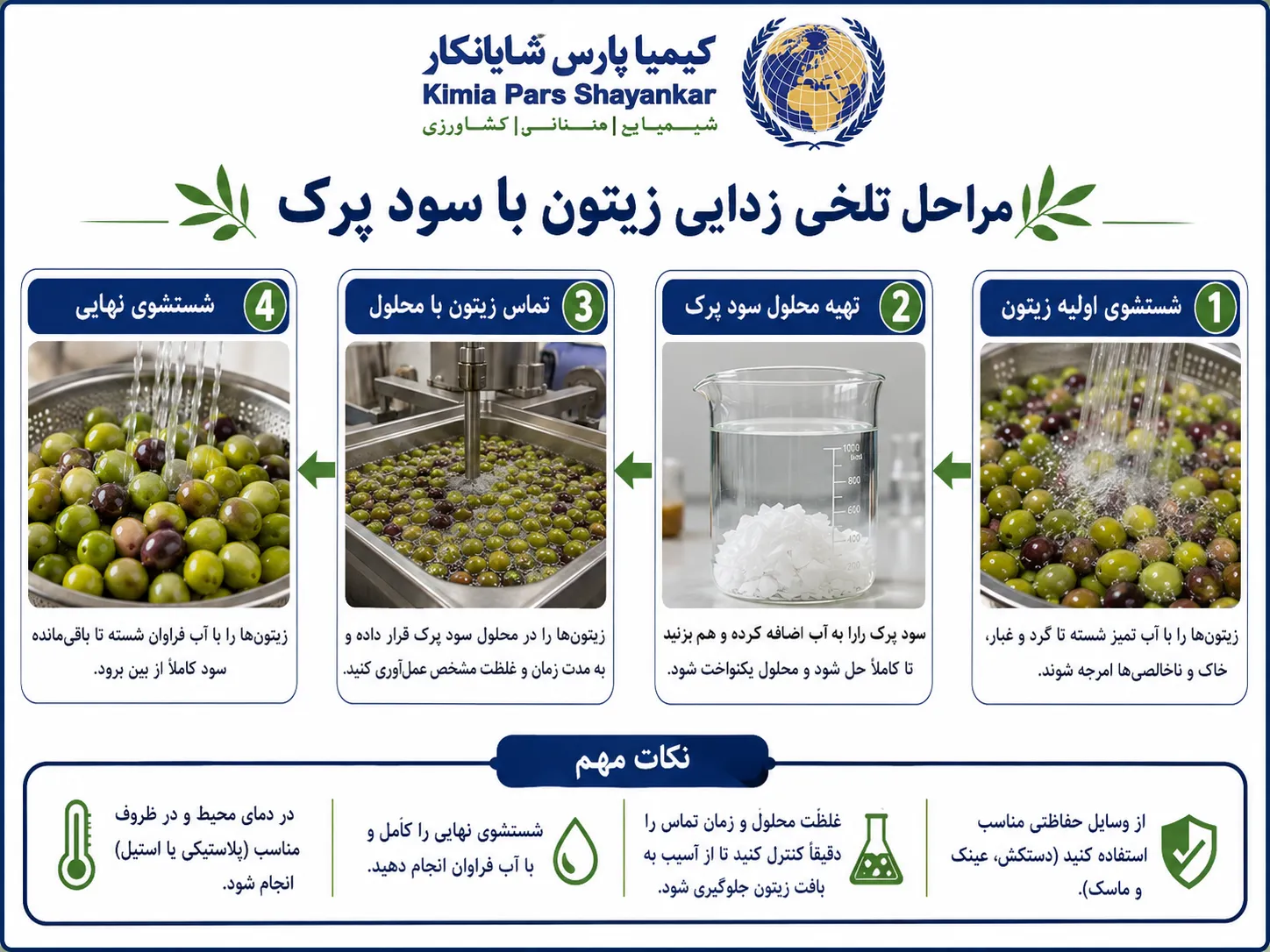 مراحل تلخی زدایی زیتون با سود پرک چیست؟