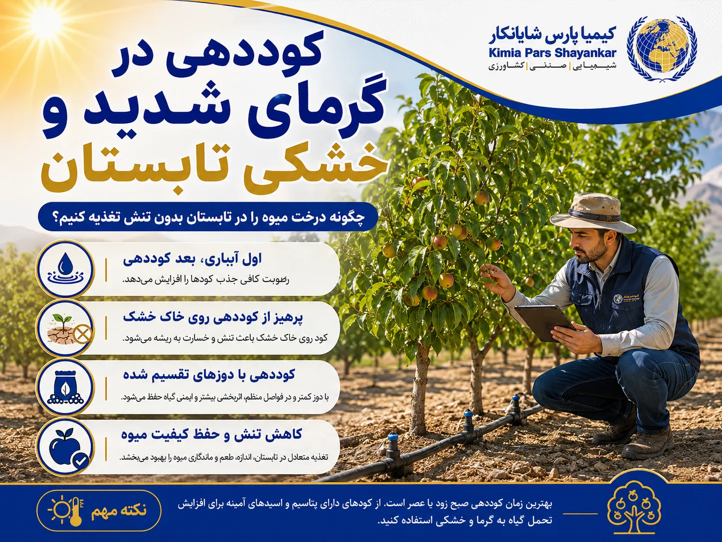 کود برای درختان میوه در تابستان در گرمای شدید و خشکی چگونه مصرف شود؟