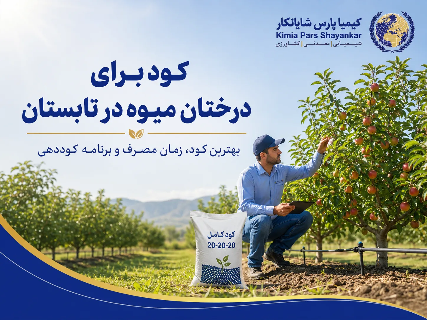 برنامه کود برای درختان میوه در تابستان از تیر تا شهریور چگونه است؟